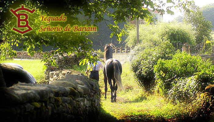 Entrada a Yeguada Señorio de Bariain